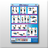 BOSU Wallchart