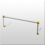 Professional Hurdles