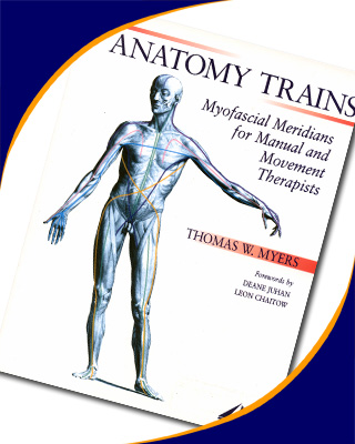 Anatomy Trains