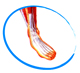 FOOT & ANKLE PRODUCTS
