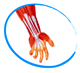 HAND & WRIST PRODUCTS