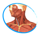 NECK PRODUCTS