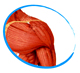 SHOULDER PRODUCTS