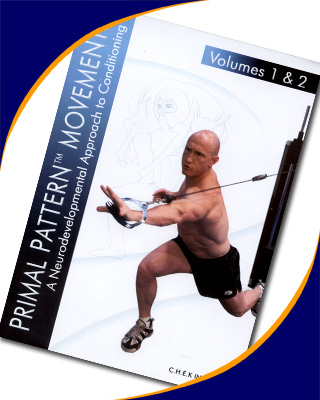 Primal Pattern Movements DVD