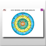 ICE Practitioner Charts