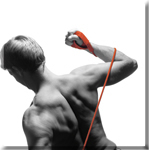 EXERCISE PROGRAM for ABDOMINALS and BACK