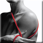 EXERCISE PROGRAM for ARMS, SHOULDERS and CHEST