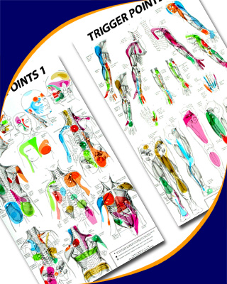 Trigger Point Therapy