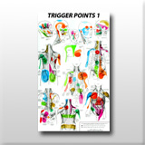 Trigger Point Therapy