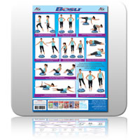 Posters & Charts